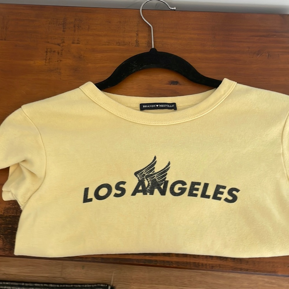 Brandy Melville Tshirt